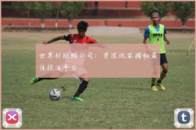 世界杯欧赔公司：资深玩家揭秘最佳投注平台