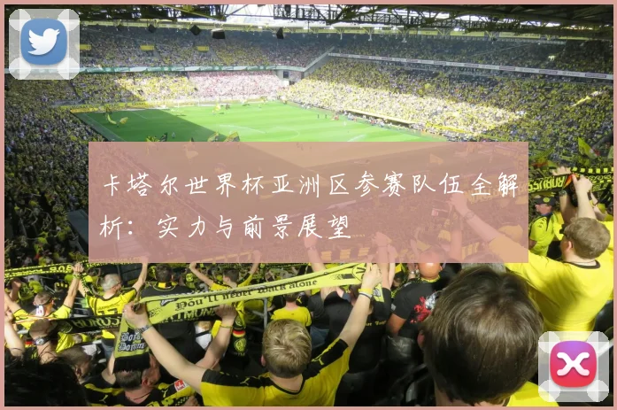 卡塔尔世界杯亚洲区参赛队伍全解析：实力与前景展望