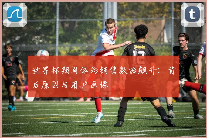 世界杯期间体彩销售数据飙升：背后原因与用户画像