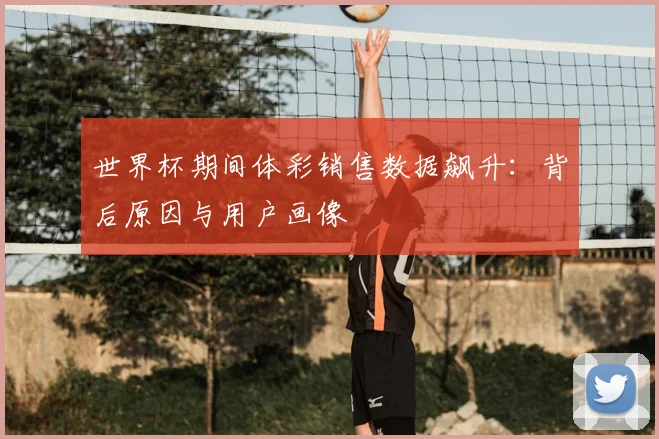 世界杯期间体彩销售数据飙升:背后原因与用户画像