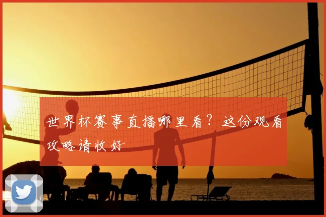 世界杯赛事直播哪里看？这份观看攻略请收好