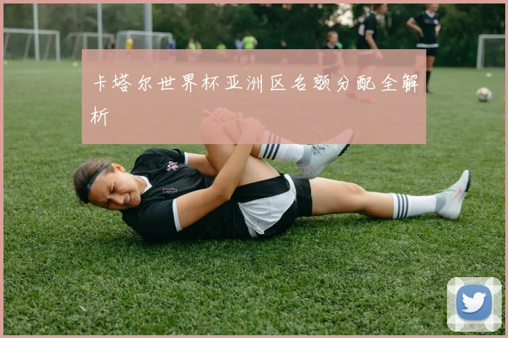 卡塔尔世界杯亚洲区名额分配全解析