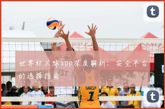 世界杯买球app深度解析：安全平台的选择指南