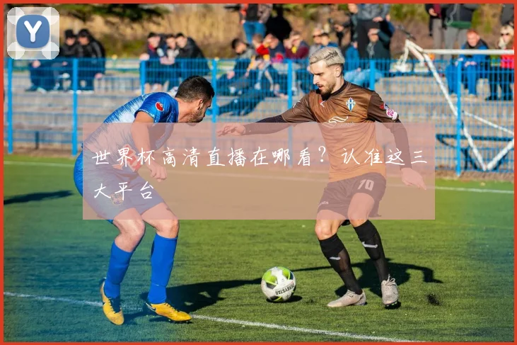 世界杯高清直播在哪看？认准这三大平台