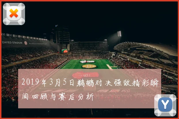 2019年3月5日鹈鹕对决强敌精彩瞬间回顾与赛后分析