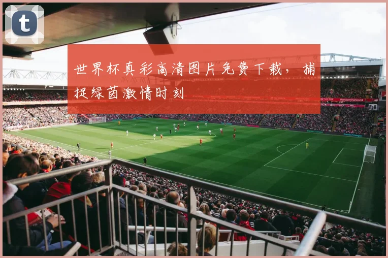 世界杯真彩高清图片免费下载，捕捉绿茵激情时刻