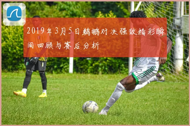2019年3月5日鹈鹕对决强敌精彩瞬间回顾与赛后分析