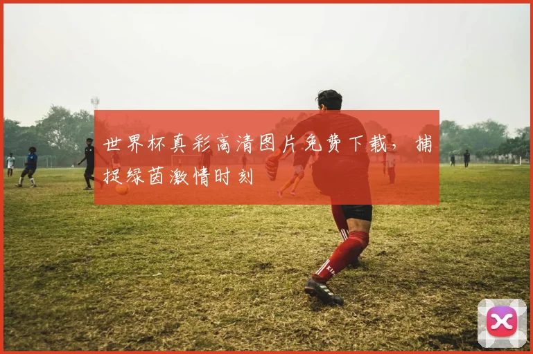 世界杯真彩高清图片免费下载,捕捉绿茵激情时刻