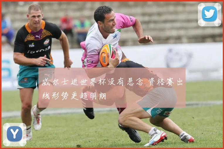 威尔士进世界杯没有悬念 资格赛出线形势更趋明朗