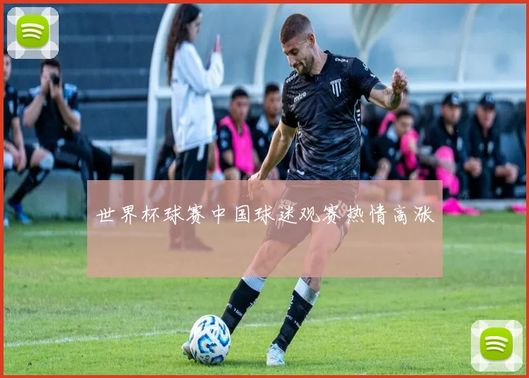 世界杯球赛中国球迷观赛热情高涨
