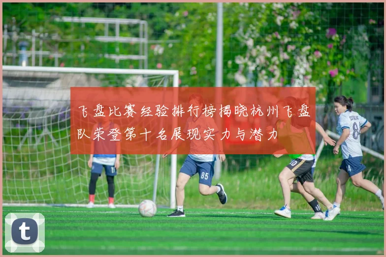 飞盘比赛经验排行榜揭晓杭州飞盘队荣登第十名展现实力与潜力