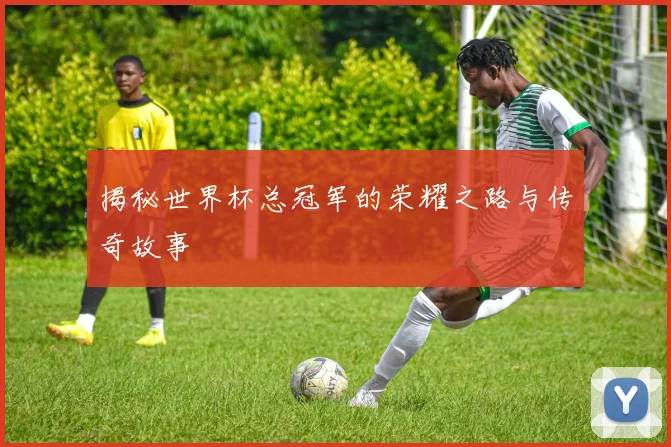 揭秘世界杯总冠军的荣耀之路与传奇故事